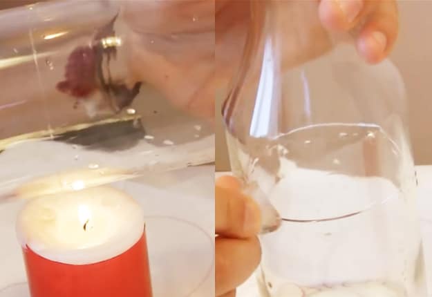 How to Cut Glass Bottles  3 ways to do it 