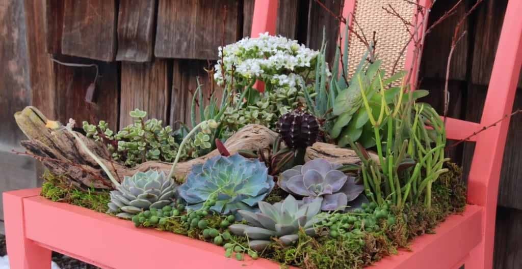 DIY Succulent Planter Tutorial | Easy Upcycling Ideas for Home Decor at http://diyjoy.com/backyard-ideas-diy-planter-box