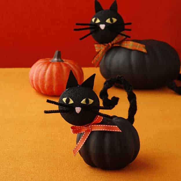 Easy DIY Halloween Decorations | Quick Ideas for Adults, Kids and Teens | Black Cat Pumpkin