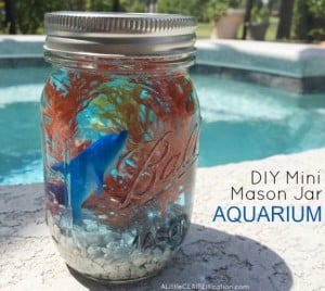 Mason Jar Diys For Summer