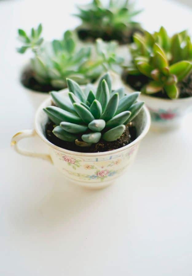 DIY Mothers Day Gift Ideas - Easy DIY Tea Cup Planter - Homemade Gifts for Moms - Crafts and Do It Yourself Home Decor, Accessories and Fashion To Make For Mom - Mothers Love Handmade Presents on Mother's Day - DIY Projects and Crafts by DIY JOY 