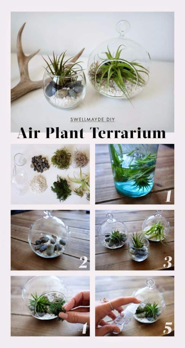 DIY Terrarium Ideas - Air Plant Terrarium - Cool Terrariums and Crafts With Mason Jars, Succulents, Wood, Geometric Designs and Reptile, Acquarium - Easy DIY Terrariums for Adults and Kids To Make at Home 