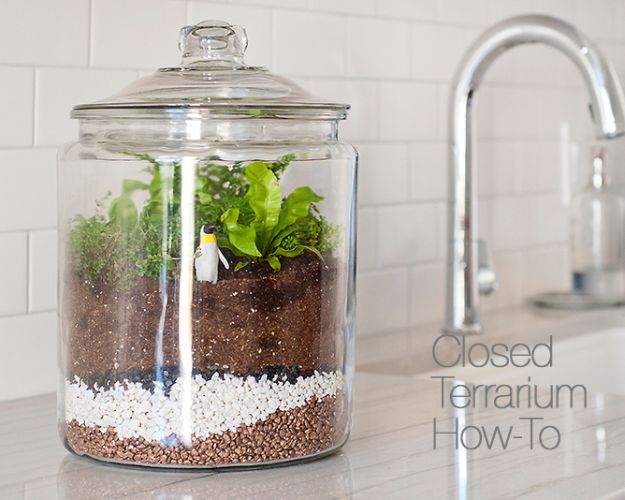 DIY Terrarium Ideas - Closed Terrarium - Cool Terrariums and Crafts With Mason Jars, Succulents, Wood, Geometric Designs and Reptile, Acquarium - Easy DIY Terrariums for Adults and Kids To Make at Home 