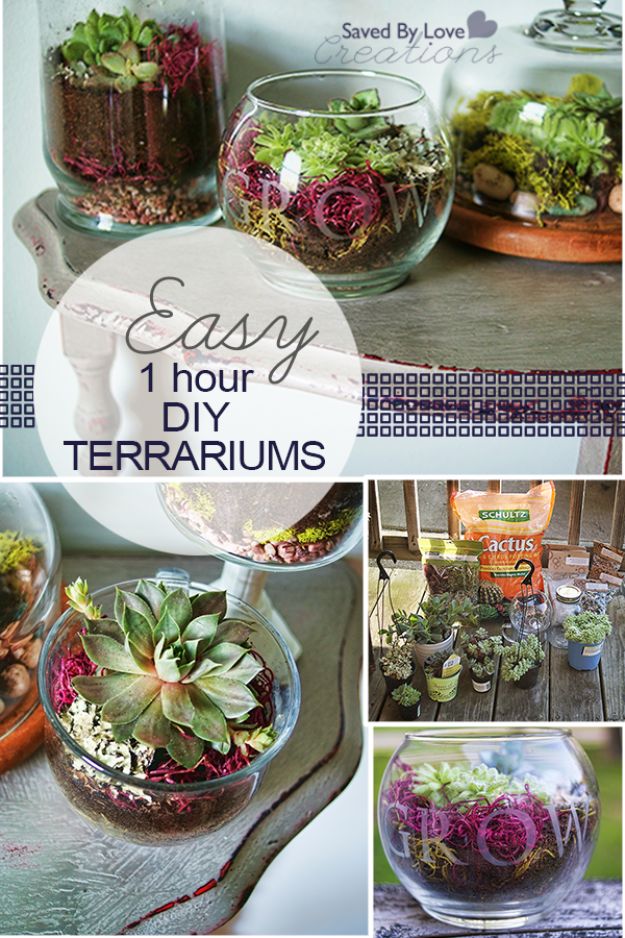 DIY Terrarium Ideas - Easy 1 Hour DIY Terrarium - Cool Terrariums and Crafts With Mason Jars, Succulents, Wood, Geometric Designs and Reptile, Acquarium - Easy DIY Terrariums for Adults and Kids To Make at Home 