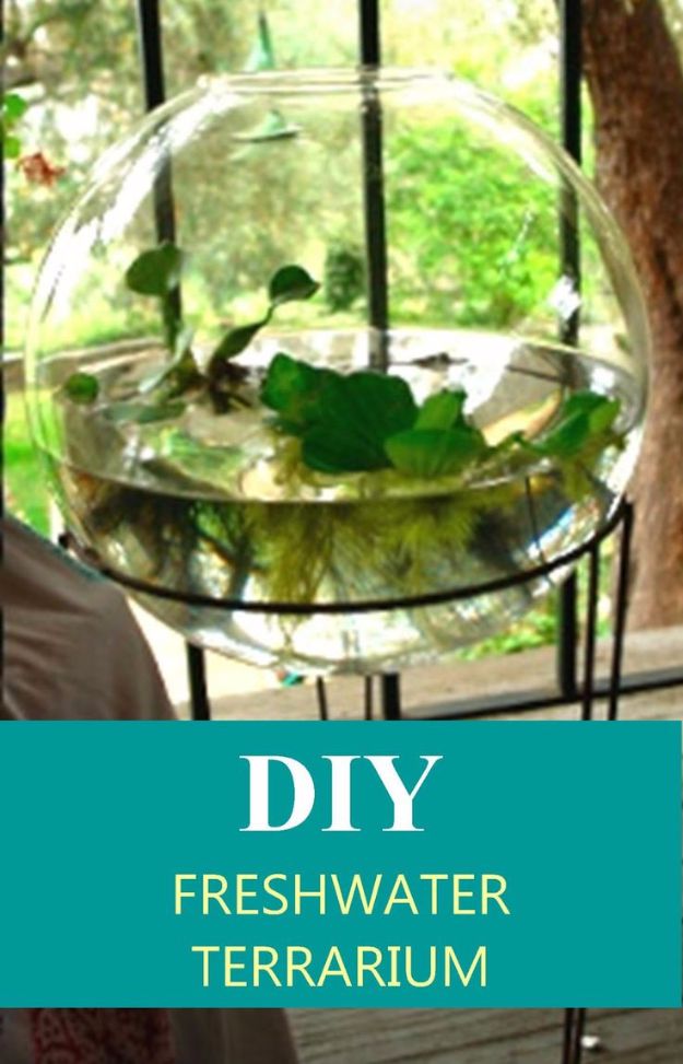 DIY Terrarium Ideas - Freshwater Terrarium - Cool Terrariums and Crafts With Mason Jars, Succulents, Wood, Geometric Designs and Reptile, Acquarium - Easy DIY Terrariums for Adults and Kids To Make at Home 