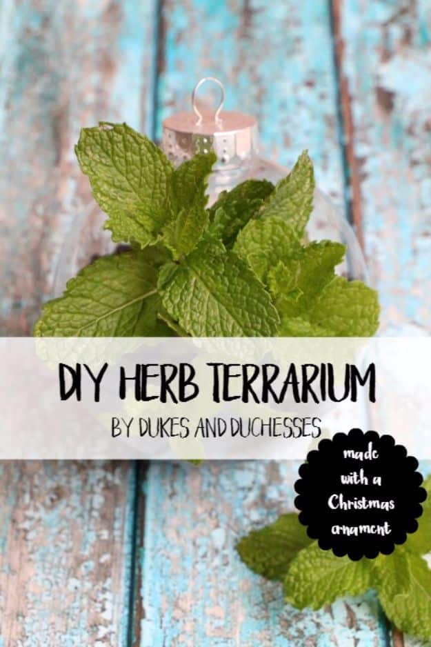 DIY Terrarium Ideas - Herb Terrarium - Cool Terrariums and Crafts With Mason Jars, Succulents, Wood, Geometric Designs and Reptile, Acquarium - Easy DIY Terrariums for Adults and Kids To Make at Home 