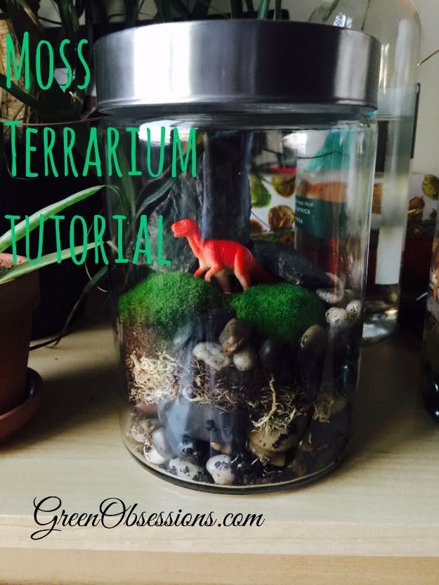 DIY Terrarium Ideas - Moss Terrarium - Cool Terrariums and Crafts With Mason Jars, Succulents, Wood, Geometric Designs and Reptile, Acquarium - Easy DIY Terrariums for Adults and Kids To Make at Home 