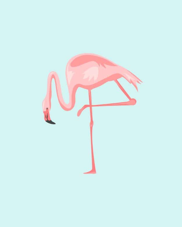 Free Printables For Your Walls - Pretty In Pink Flamingos Free Printables - Best Free Prints for Wall Art and Picture to Print for Home and Bedroom Decor - Ideas for the Home, Organization - Quotes for Bedroom and Kitchens, Vintage Bathroom Pictures - Downloadable Printable for Kids - DIY and Crafts by DIY JOY 