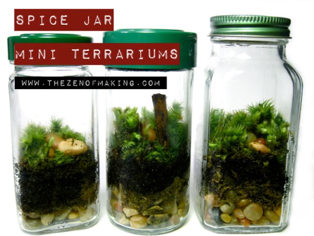 DIY Terrarium Ideas - Spice Jar Terrarium - Cool Terrariums and Crafts With Mason Jars, Succulents, Wood, Geometric Designs and Reptile, Acquarium - Easy DIY Terrariums for Adults and Kids To Make at Home 