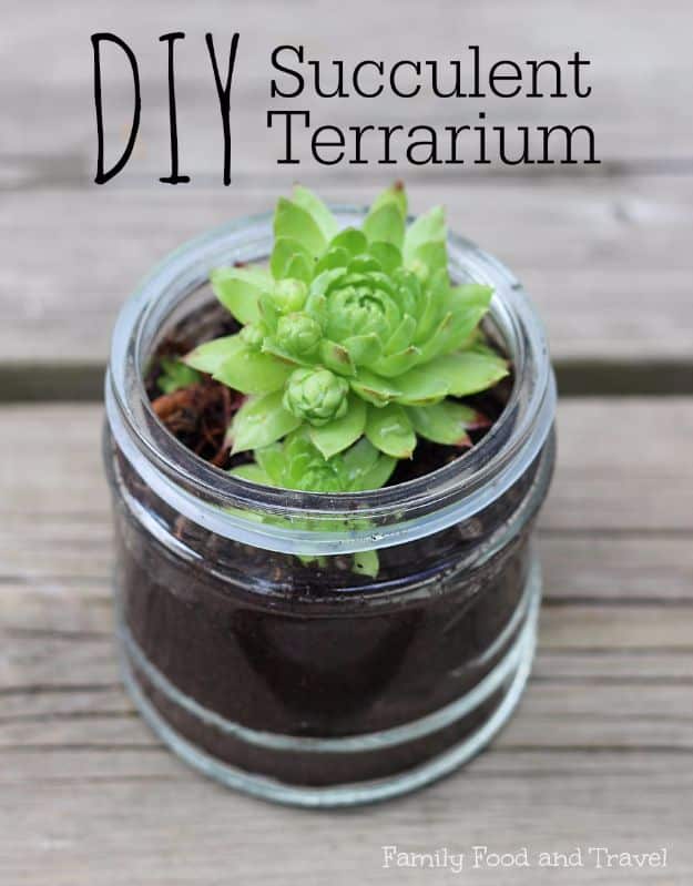 DIY Terrarium Ideas - Succulent Terrarium - Cool Terrariums and Crafts With Mason Jars, Succulents, Wood, Geometric Designs and Reptile, Acquarium - Easy DIY Terrariums for Adults and Kids To Make at Home 