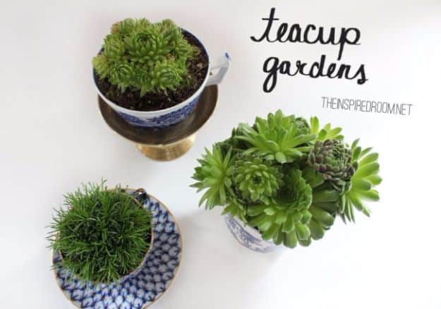 DIY Terrarium Ideas - Teacup Terrarium - Cool Terrariums and Crafts With Mason Jars, Succulents, Wood, Geometric Designs and Reptile, Acquarium - Easy DIY Terrariums for Adults and Kids To Make at Home 