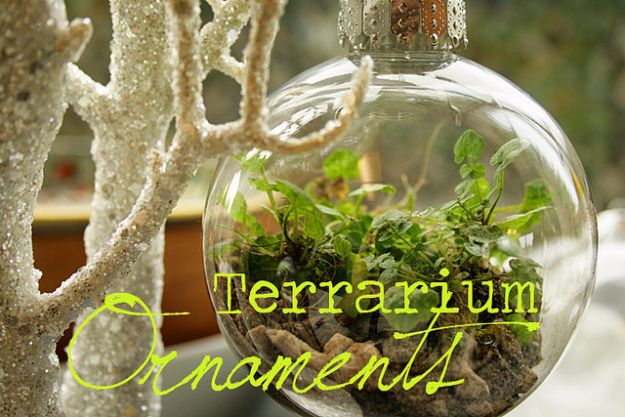 DIY Terrarium Ideas - Terrarium Ornaments - Cool Terrariums and Crafts With Mason Jars, Succulents, Wood, Geometric Designs and Reptile, Acquarium - Easy DIY Terrariums for Adults and Kids To Make at Home 