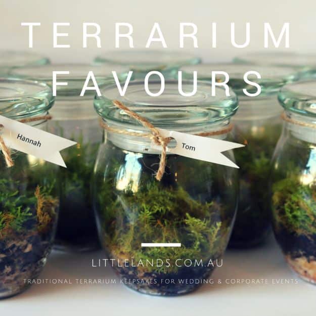 DIY Terrarium Ideas - Wedding Favour Terrarium - Cool Terrariums and Crafts With Mason Jars, Succulents, Wood, Geometric Designs and Reptile, Acquarium - Easy DIY Terrariums for Adults and Kids To Make at Home 