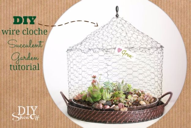 DIY Terrarium Ideas - Wire Cloche Terrarium - Cool Terrariums and Crafts With Mason Jars, Succulents, Wood, Geometric Designs and Reptile, Acquarium - Easy DIY Terrariums for Adults and Kids To Make at Home 