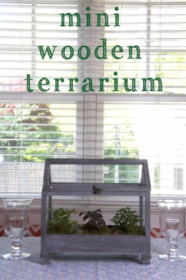 DIY Terrarium Ideas - Wooden Terrarium - Cool Terrariums and Crafts With Mason Jars, Succulents, Wood, Geometric Designs and Reptile, Acquarium - Easy DIY Terrariums for Adults and Kids To Make at Home 