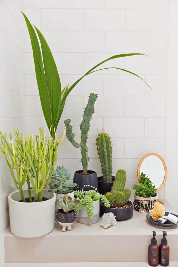 DIY Hacks for Renters - Create Indoor Garden - Easy Ways to Decorate and Fix Things on Rental Property - Decorate Walls, Cheap Ideas for Making an Apartment, Small Space or Tiny Closet Work For You - Quick Hacks and DIY Projects on A Budget - Step by Step Tutorials and Instructions for Simple Home Decor http://diyjoy.com/diy-hacks-renters