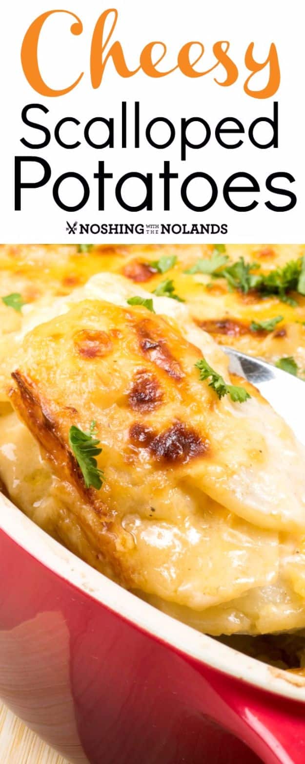 Potato Recipes - Cheesy Scalloped Potatoes - Easy, Quick and Healthy Potato Recipes - How To Make Roasted, In Oven, Fried, Mashed and Red Potatoes - Easy Potato Side Dishes #potatorecipes #recipes