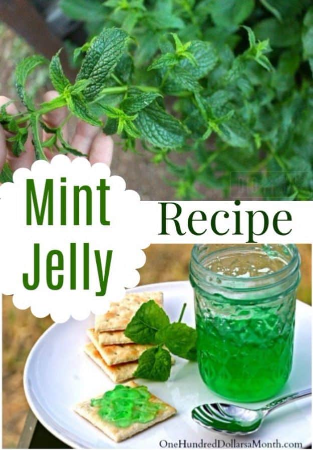Best Jam and Jelly Recipes - Mint Jelly - Homemade Recipe Ideas For Canning - Easy and Unique Jams and Jellies Made With Strawberry, Raspberry, Blackberry, Peach and Fruit - Healthy, Sugar Free, No Pectin, Small Batch, Savory and Freezer Recipes #recipes #jelly