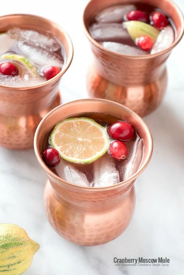 Best Drink Recipes for New Years Eve - Cranberry Moscow Mule with Homemade Cranberry Simple Syrup - Creative Cocktails, Drinks, Champagne Toasts, and Punch Mixes for A New Year's Eve Party - Ideas for Serving, Glasses, Fun Ideas for Shots and Cocktails - Easy Vodka Recipes, Non Alcoholic, Whisky Rum and Party Punches #newyearseve