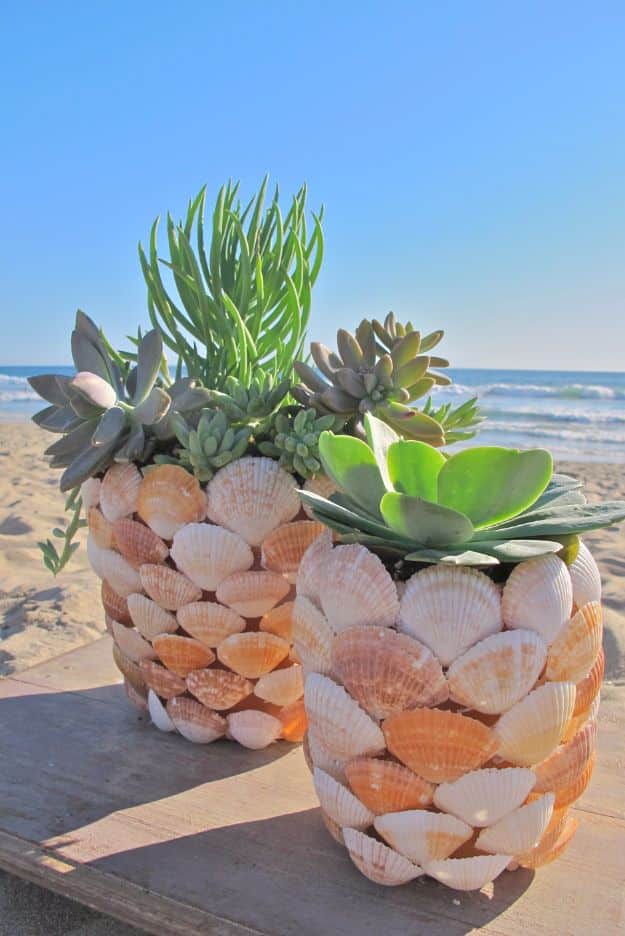 DIY Ideas With Sea Shells - DIY Seashell Planter - Best Cute Sea Shell Crafts for Adults and Kids - Easy Beach House Decor Ideas With Sand and Large Shell Art - Wall Decor and Home, Bedroom and Bath - Cheap DIY Projects Make Awesome Homemade Gifts http://diyjoy.com/diy-ideas-sea-shells