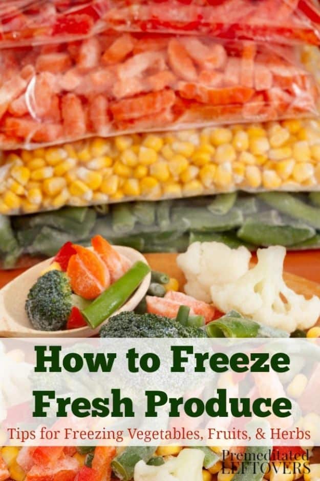 Ways to Save Money in 2018 - Freeze Fresh Produce To Make It Last Longer - Easy Money Saving Ideas and Tips for Budgeting - Cool Idea for Budget Planning and Smart Financial Advice for Beginners - Create Order, Organize and Save Cash As You Top New Years Resolution, Every Little Bit Helps You Save For That Next Vacation! http://diyjoy.com/ways-to-save-money