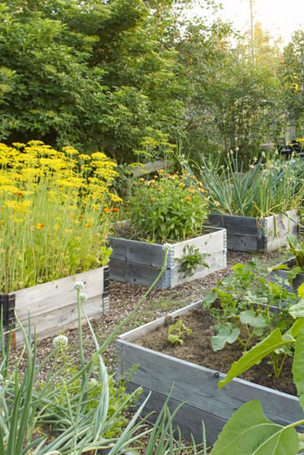 DIY Garden Beds - 3-Step Raised Garden Bed - Easy Gardening Ideas for Raised Beds and Planter Boxes - Free Plans, Tutorials and Step by Step Tutorials for Building and Landscaping Projects - Update Your Backyard and Gardens With These Cheap Do It Yourself Ideas http://diyjoy.com/diy-garden-beds