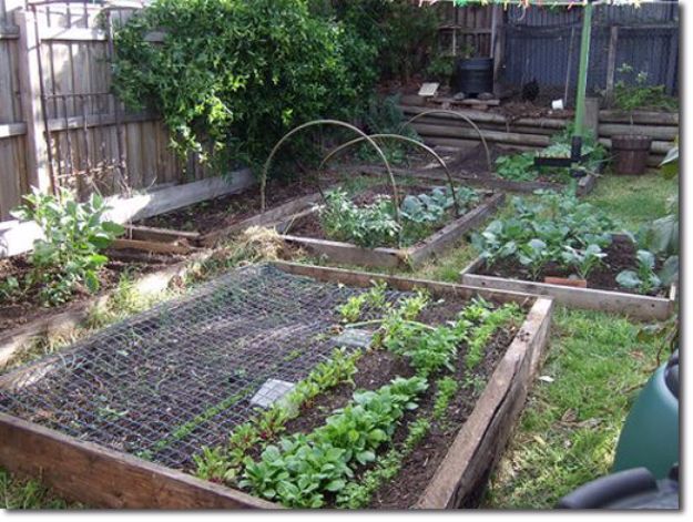 DIY Garden Beds - Cheap Raised Garden Bed - Easy Gardening Ideas for Raised Beds and Planter Boxes - Free Plans, Tutorials and Step by Step Tutorials for Building and Landscaping Projects - Update Your Backyard and Gardens With These Cheap Do It Yourself Ideas http://diyjoy.com/diy-garden-beds