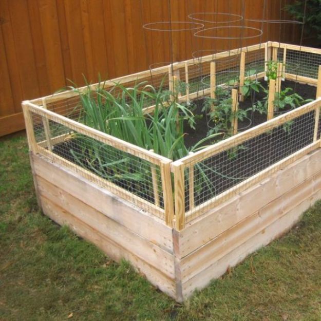 DIY Garden Beds - Fenced Garden Bed - Easy Gardening Ideas for Raised Beds and Planter Boxes - Free Plans, Tutorials and Step by Step Tutorials for Building and Landscaping Projects - Update Your Backyard and Gardens With These Cheap Do It Yourself Ideas http://diyjoy.com/diy-garden-beds