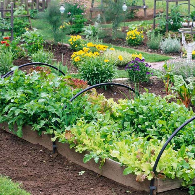 DIY Garden Beds - Raised Vegetable Garden Bed - Easy Gardening Ideas for Raised Beds and Planter Boxes - Free Plans, Tutorials and Step by Step Tutorials for Building and Landscaping Projects - Update Your Backyard and Gardens With These Cheap Do It Yourself Ideas http://diyjoy.com/diy-garden-beds