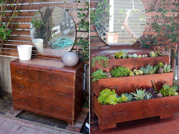 DIY Garden Beds - Succulent Dresser - Easy Gardening Ideas for Raised Beds and Planter Boxes - Free Plans, Tutorials and Step by Step Tutorials for Building and Landscaping Projects - Update Your Backyard and Gardens With These Cheap Do It Yourself Ideas http://diyjoy.com/diy-garden-beds