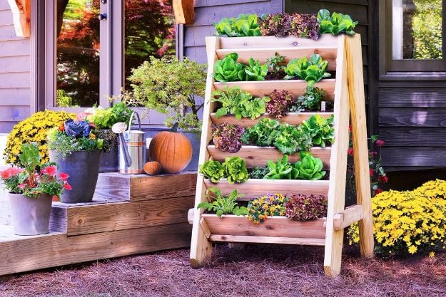 Container Gardening Ideas - Build a Vertical Herb Planter - Easy Garden Projects for Containers and Growing Plants in Small Spaces - DIY Potting Tips and Planter Boxes for Vegetables, Herbs and Flowers - Simple Ideas for Beginners -Shade, Full Sun, Pation and Yard Landscape Idea tutorials 