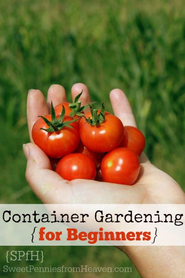 Container Gardening Ideas - Container Gardening For Beginners - Easy Garden Projects for Containers and Growing Plants in Small Spaces - DIY Potting Tips and Planter Boxes for Vegetables, Herbs and Flowers - Simple Ideas for Beginners -Shade, Full Sun, Pation and Yard Landscape Idea tutorials 