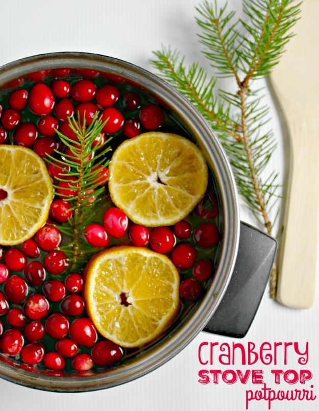DIY Home Fragrance Ideas - Cranberry Stove Top Potpourri - Easy Ways To Make your House and Home Smell Good - Essential Oils, Diffusers, DIY Lampe Berger Oil, Candles, Room Scents and Homemade Recipes for Odor Removal - Relaxing Lavender, Fresh Clean Smells, Lemon, Herb 