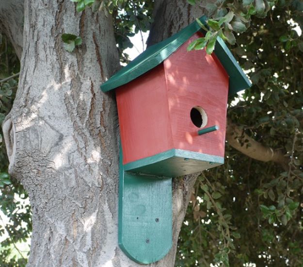 DIY Bird Houses - DIY Bluebird House - Easy Bird House Ideas for Kids and Adult To Make - Free Plans and Tutorials for Wooden, Simple, Upcyle Designs, Recycle Plastic and Creative Ways To Make Rustic Outdoor Decor and a Home for the Birds - Fun Projects for Your Backyard This Summer 
