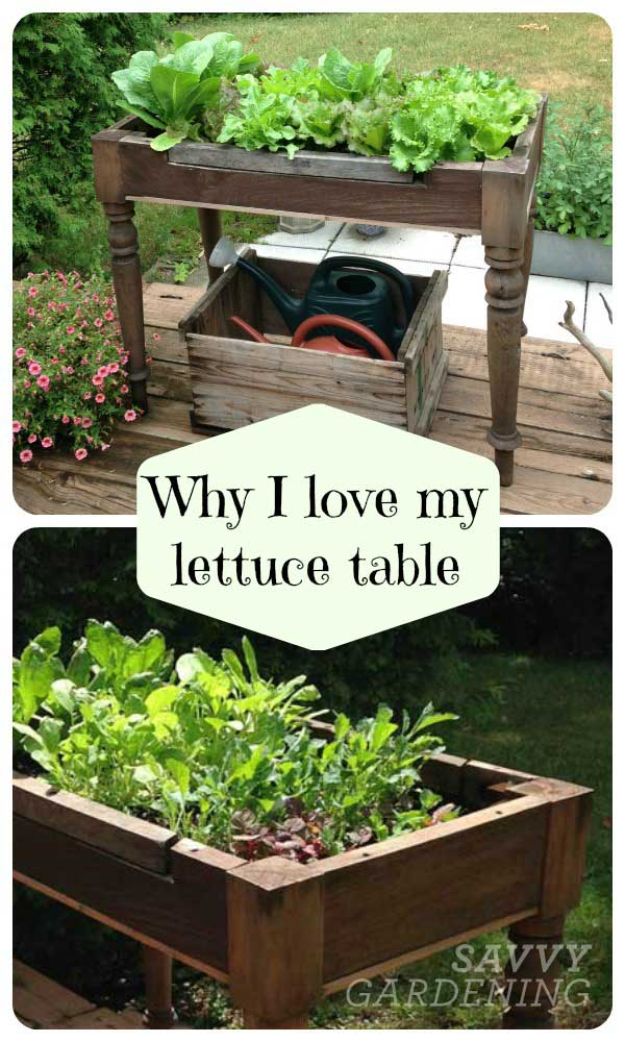 Container Gardening Ideas - DIY Lettuce Table - Easy Garden Projects for Containers and Growing Plants in Small Spaces - DIY Potting Tips and Planter Boxes for Vegetables, Herbs and Flowers - Simple Ideas for Beginners -Shade, Full Sun, Pation and Yard Landscape Idea tutorials 