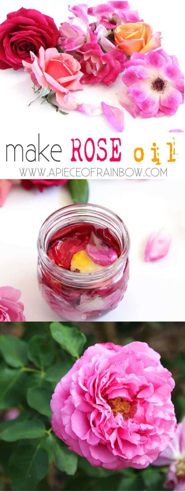 Rose Crafts - DIY Rose Oil - Easy Craft Projects With Roses - Paper Flowers, Quilt Patterns, DIY Rose Art for Kids - Dried and Real Roses for Wall Art and Do It Yourself Home Decor - Mothers Day Gift Ideas - Fake Rose Arrangements That Look Amazing - Cute Centerrpieces and Crafty DIY Gifts With A Rose http://diyjoy.com/rose-crafts