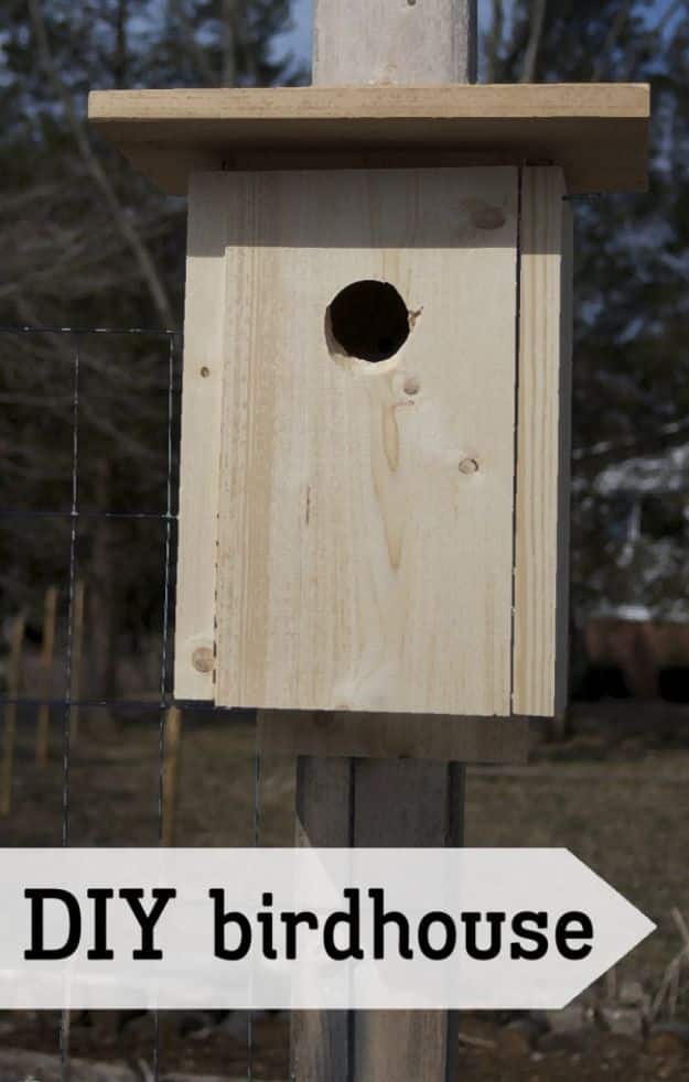 DIY Bird Houses - DIY Simple Birdhouse - Easy Bird House Ideas for Kids and Adult To Make - Free Plans and Tutorials for Wooden, Simple, Upcyle Designs, Recycle Plastic and Creative Ways To Make Rustic Outdoor Decor and a Home for the Birds - Fun Projects for Your Backyard This Summer 