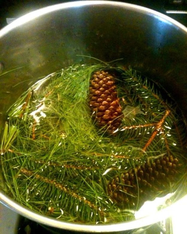 DIY Home Remedies - Evergreen Syrup - Homemade Recipes and Ideas for Help Relieve Symptoms of Cold and Flu, Upset Stomach, Rash, Cough, Sore Throat, Headache and Illness - Skincare Products, Balms, Lotions and Teas 