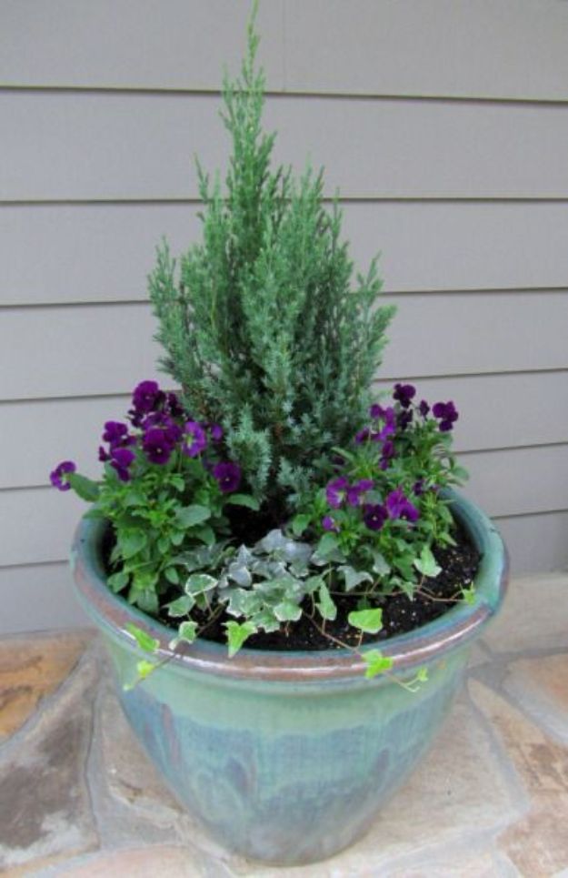 Container Gardening Ideas - Front Porch Winter Container Gardens - Easy Garden Projects for Containers and Growing Plants in Small Spaces - DIY Potting Tips and Planter Boxes for Vegetables, Herbs and Flowers - Simple Ideas for Beginners -Shade, Full Sun, Pation and Yard Landscape Idea tutorials 