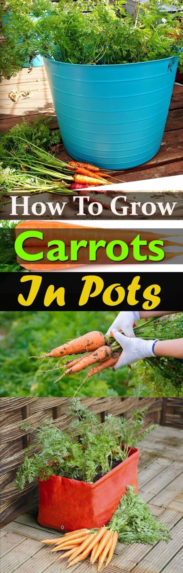 Container Gardening Ideas - Grow Carrots In Pots - Easy Garden Projects for Containers and Growing Plants in Small Spaces - DIY Potting Tips and Planter Boxes for Vegetables, Herbs and Flowers - Simple Ideas for Beginners -Shade, Full Sun, Pation and Yard Landscape Idea tutorials 