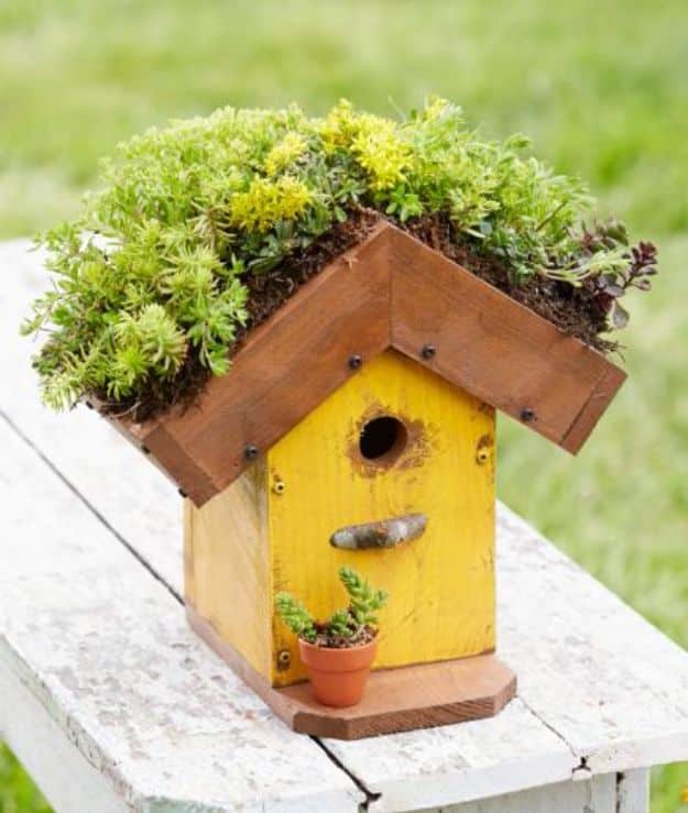 DIY Bird Houses - Living-Roof Birdhouse - Easy Bird House Ideas for Kids and Adult To Make - Free Plans and Tutorials for Wooden, Simple, Upcyle Designs, Recycle Plastic and Creative Ways To Make Rustic Outdoor Decor and a Home for the Birds - Fun Projects for Your Backyard This Summer 