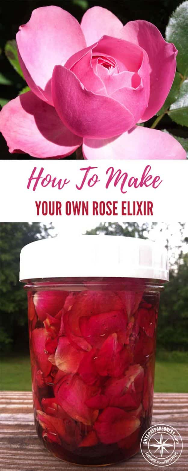 Rose Crafts - Make Your Own Rose Elixir - Easy Craft Projects With Roses - Paper Flowers, Quilt Patterns, DIY Rose Art for Kids - Dried and Real Roses for Wall Art and Do It Yourself Home Decor - Mothers Day Gift Ideas - Fake Rose Arrangements That Look Amazing - Cute Centerrpieces and Crafty DIY Gifts With A Rose http://diyjoy.com/rose-crafts