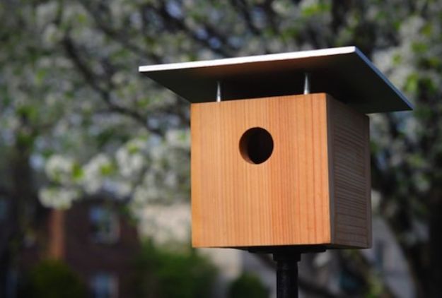 DIY Bird Houses - Make a Classic Birdhouse - Easy Bird House Ideas for Kids and Adult To Make - Free Plans and Tutorials for Wooden, Simple, Upcyle Designs, Recycle Plastic and Creative Ways To Make Rustic Outdoor Decor and a Home for the Birds - Fun Projects for Your Backyard This Summer 