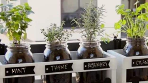 Container Gardening Ideas - Mason Jar Herb Garden - Easy Garden Projects for Containers and Growing Plants in Small Spaces - DIY Potting Tips and Planter Boxes for Vegetables, Herbs and Flowers - Simple Ideas for Beginners -Shade, Full Sun, Pation and Yard Landscape Idea tutorials 
