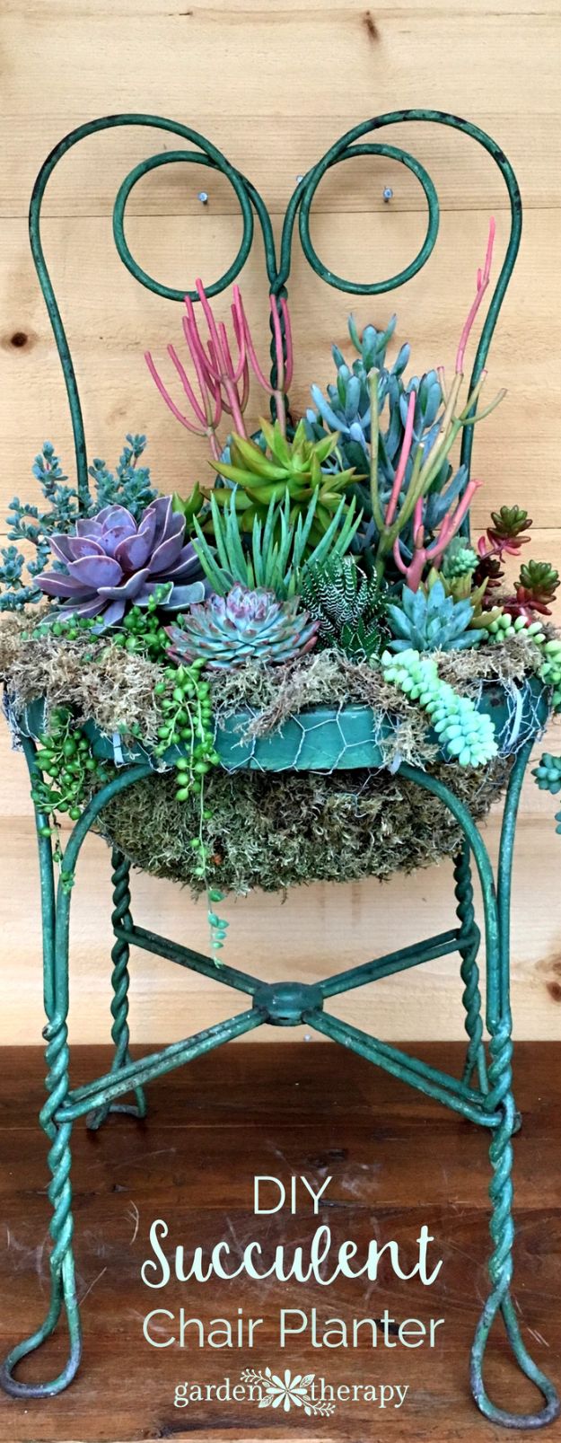 Container Gardening Ideas - Succulent Chair Planter - Easy Garden Projects for Containers and Growing Plants in Small Spaces - DIY Potting Tips and Planter Boxes for Vegetables, Herbs and Flowers - Simple Ideas for Beginners -Shade, Full Sun, Pation and Yard Landscape Idea tutorials 