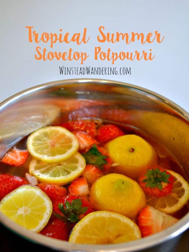 DIY Home Fragrance Ideas - Tropical Summer Stovetop Potpourri - Easy Ways To Make your House and Home Smell Good - Essential Oils, Diffusers, DIY Lampe Berger Oil, Candles, Room Scents and Homemade Recipes for Odor Removal - Relaxing Lavender, Fresh Clean Smells, Lemon, Herb 