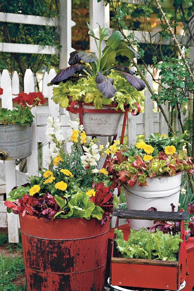 Container Gardening Ideas - Vintage Bucket Gardening - Easy Garden Projects for Containers and Growing Plants in Small Spaces - DIY Potting Tips and Planter Boxes for Vegetables, Herbs and Flowers - Simple Ideas for Beginners -Shade, Full Sun, Pation and Yard Landscape Idea tutorials 