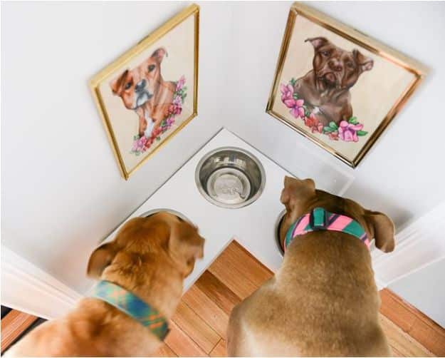 DIY Pet Bowls And Feeding Stations - DIY Corner Pet Food Station - Easy Ideas for Serving Dog and Cat Food, Ways to Raise and Store Bowls - Organize Your Dog Food and Water Bowl With These Cute and Creative Ideas for Dogs and Cats- Monogram, Painted, Personalized and Rustic Crafts and Projects http://diyjoy.com/diy-pet-bowls-feeding-station