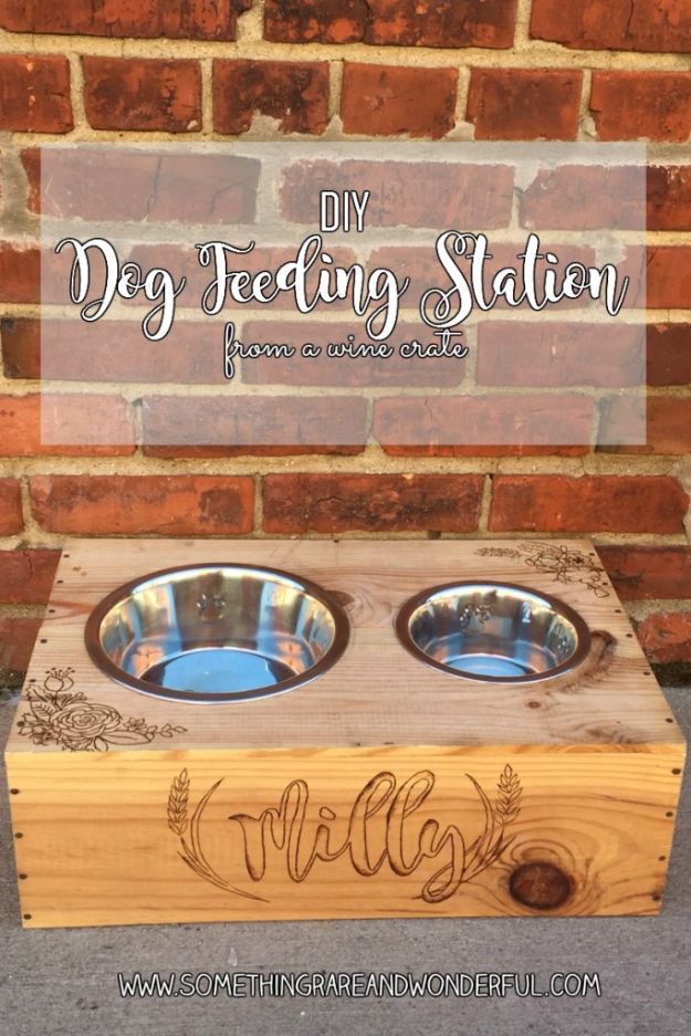 DIY Pet Bowls And Feeding Stations - DIY Dog Feeding Station From A Wine Crate - Easy Ideas for Serving Dog and Cat Food, Ways to Raise and Store Bowls - Organize Your Dog Food and Water Bowl With These Cute and Creative Ideas for Dogs and Cats- Monogram, Painted, Personalized and Rustic Crafts and Projects http://diyjoy.com/diy-pet-bowls-feeding-station