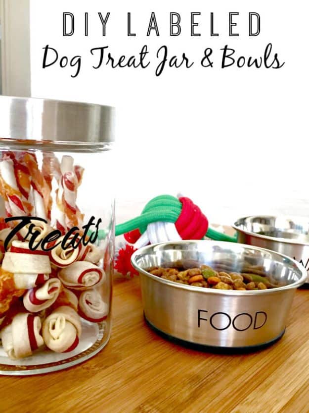 DIY Pet Bowls And Feeding Stations - DIY Labeled Treat Jar And Bowls - Easy Ideas for Serving Dog and Cat Food, Ways to Raise and Store Bowls - Organize Your Dog Food and Water Bowl With These Cute and Creative Ideas for Dogs and Cats- Monogram, Painted, Personalized and Rustic Crafts and Projects http://diyjoy.com/diy-pet-bowls-feeding-station